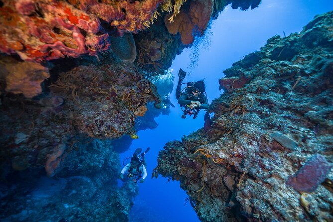2 Tanks dives for Certified Divers in Cozumel - A different reef for the second session