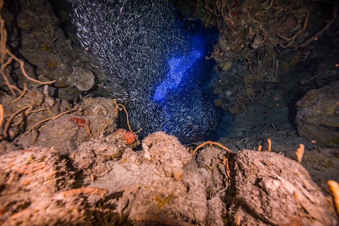 2 Tanks dives for Certified Divers in Cozumel - Equipment and physical demands