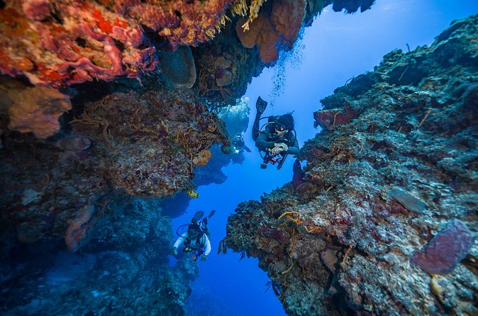 2 Tanks dives for Certified Divers in Cozumel - Value and who should book