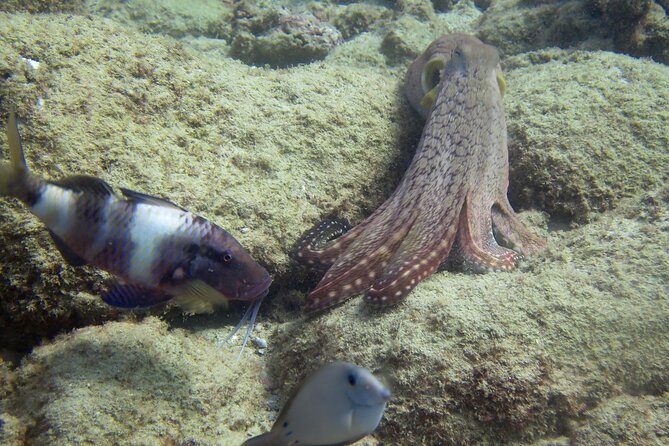 2 Tanks Scuba Dive Kaua'i from a Boat - Free equipment, snacks, drinks, and a restroom