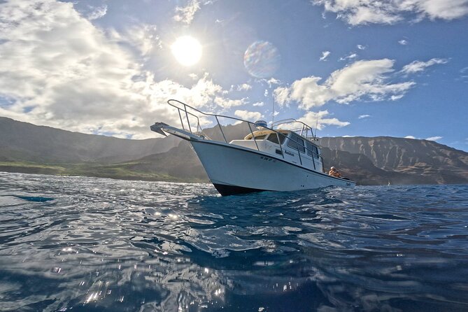 2 Tanks Scuba Dive Kaua'i from a Boat - A five-hour boat morning with only six people