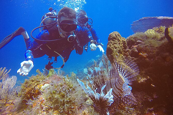 2 Tanks Scuba Diving in Punta Cancun Reefs for Certified Divers - Two Punta Cancun reefs in one afternoon