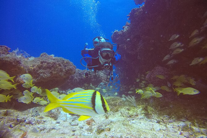 2 Tanks Scuba Diving in Punta Cancun Reefs for Certified Divers - Why the six-person limit matters