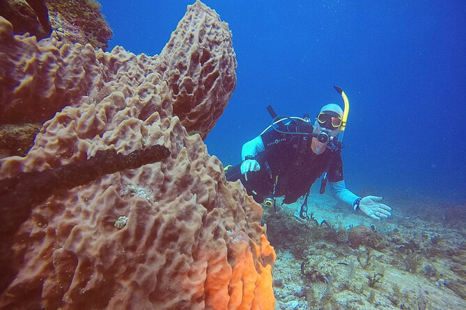 2 Tanks Scuba Diving in Punta Cancun Reefs for Certified Divers - Equipment, wetsuits, and practical comfort