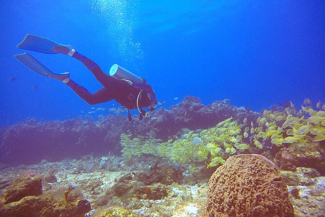 2 Tanks Scuba Diving in Punta Cancun Reefs for Certified Divers - Getting to Hotel Sotavento and planning your afternoon