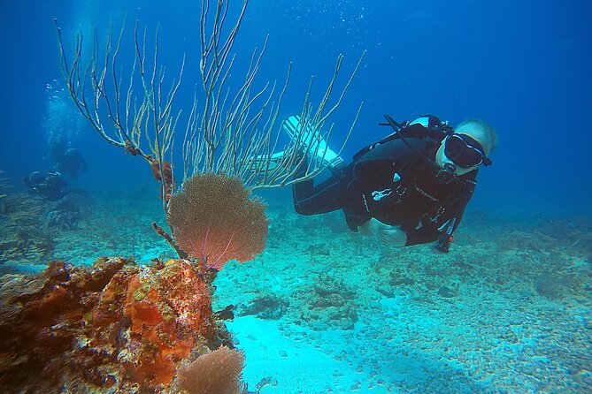 2 Tanks Scuba Diving Wreck and Reef in Cancun for Certified Divers - The first tank at C-58 or C-55