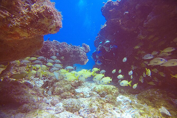 2 Tanks Scuba Diving Wreck and Reef in Cancun for Certified Divers - Practical preparation for the boat