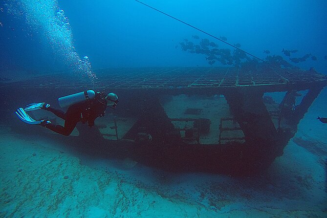2 Tanks Scuba Diving Wreck and Reef in Cancun for Certified Divers - What happens from check-in to the boat