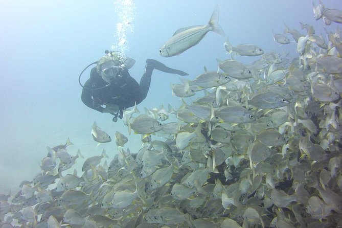2x diving package, on request including refreshment - Two Costa Adeje sessions with room to adjust