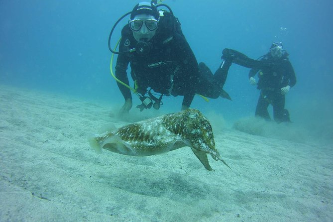 2x diving package, on request including refreshment - Why the site choice matters in Tenerife