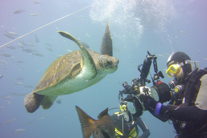 2x diving package, on request including refreshment - The 45-minute break between sessions
