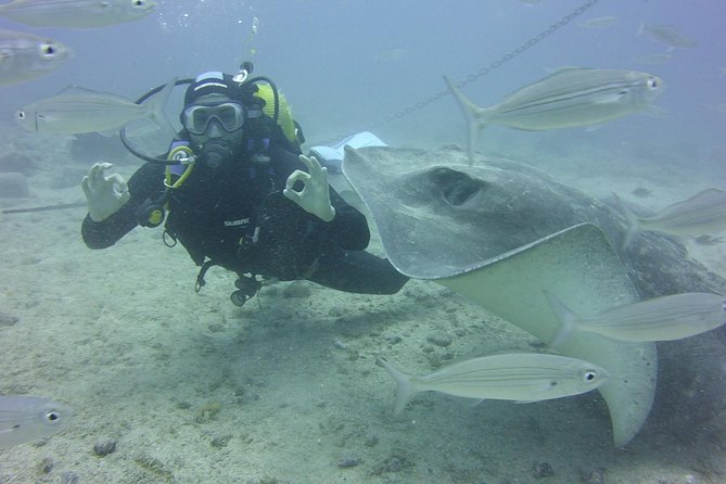 2x diving package, on request including refreshment - Is $168.03 good value?