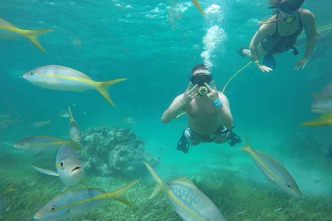 3 ADVENTURES: Sailing Catamaran Cruise - Hooka Diving - Snorkeling - What the four-hour Punta Cana outing is really like