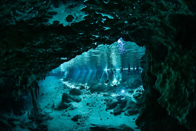 3 Cenote Dives - Casa & Dos Ojos - Meeting at 8 a.m. in La Veleta