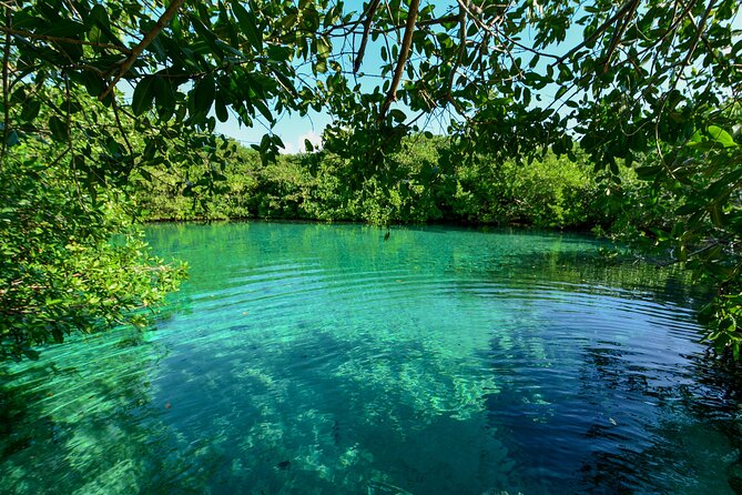 3 Cenote Dives - Casa & Dos Ojos - Two sessions at Dos Ojos