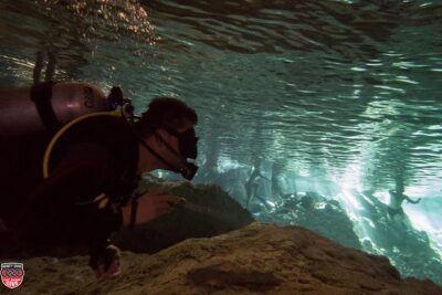 3 Cenote Dives – Casa & Dos Ojos
