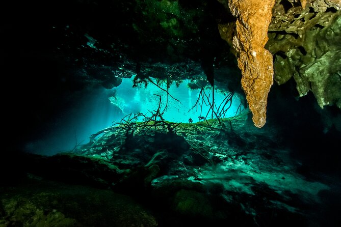 3 Cenote Dives - Casa & Dos Ojos - What is included, and why the package has value