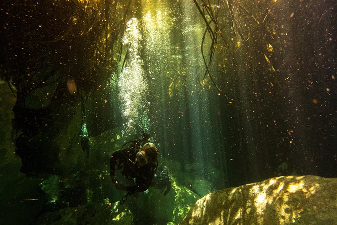 3 Cenote Dives - Casa & Dos Ojos - Food, comfort, and the practical rhythm of the day