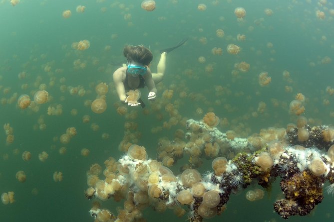3 Day Dive Tour - What the first morning is really for