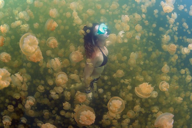 3 Day Dive Tour - Nitrox and included gear: read the fine print