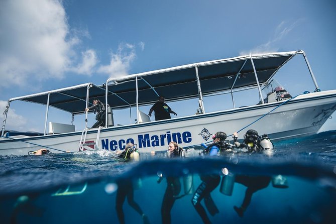 3 Day Dive Tour - Six tanks, changing reef sites, and open-water variety