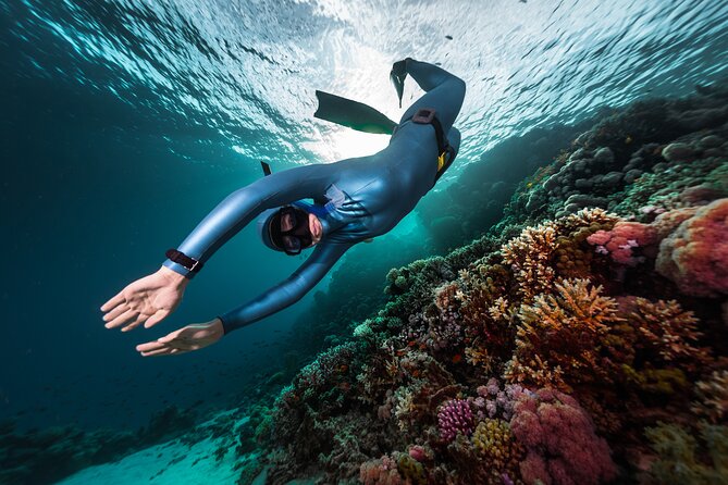 3-Day Freediving Level 1 Course - A calm beginning at Freedive Nusa