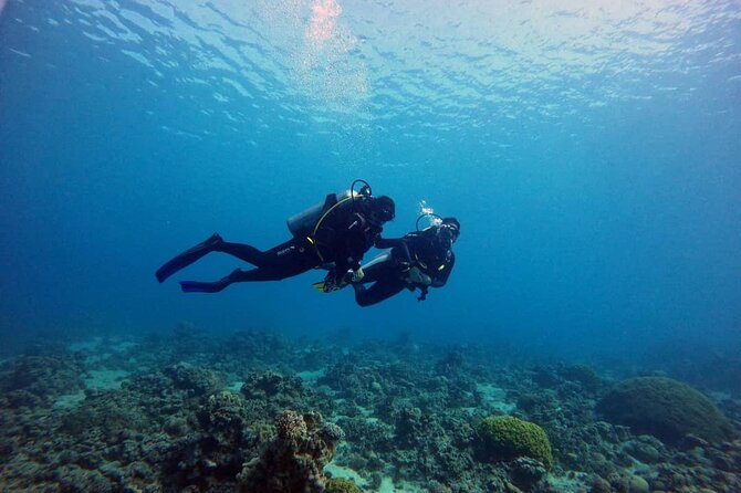 3-Day Open Water Scuba Diving Course in Aqaba - The instructors and the teaching style