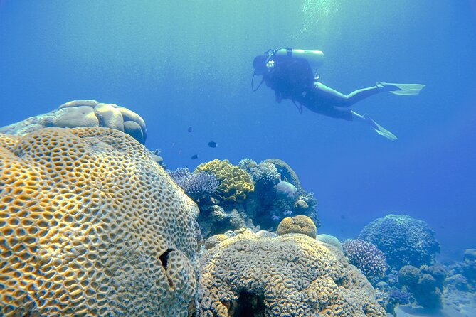 3-Day Open Water Scuba Diving Course in Aqaba - How the theory fits into the three days