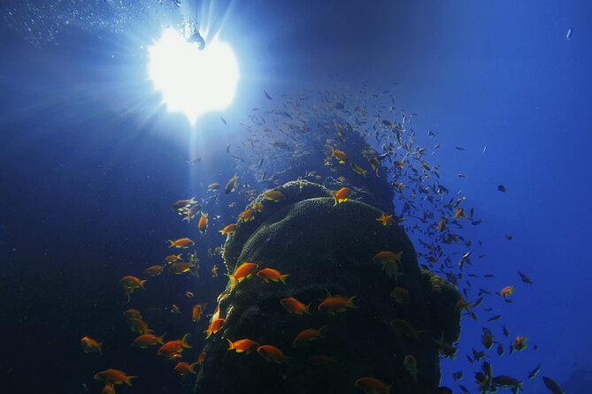 3-Day Open Water Scuba Diving Course in Aqaba - Pickup, timing, and group size