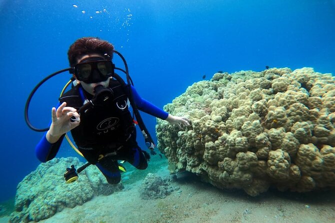 3-Day Open Water Scuba Diving Course in Aqaba - What the open-water sessions add
