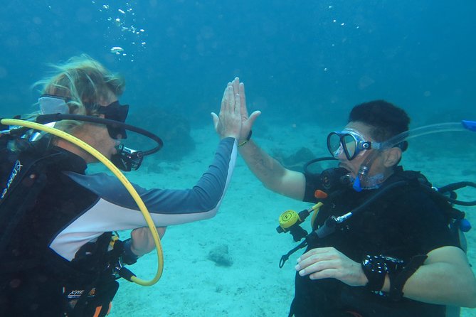 3-Day PADI Open Water Diver Course, Koh Samui - A practical route from pool skills to open water