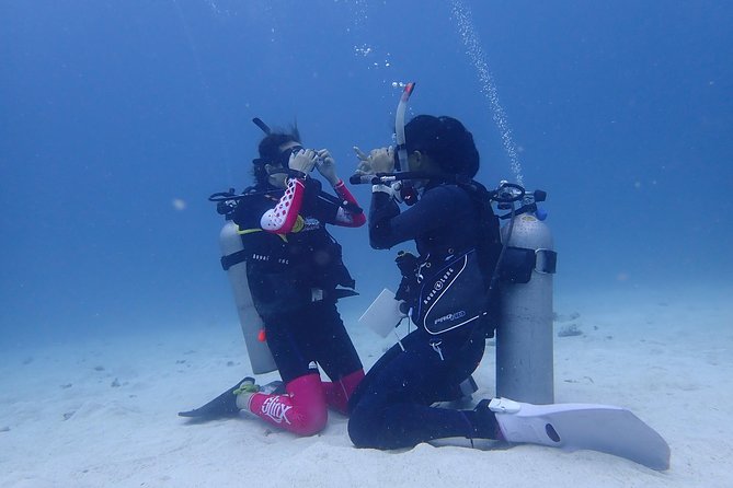3-Day PADI Open Water Diver Course, Koh Samui - Day one at Discovery Dive Centre