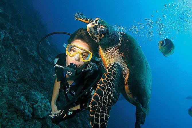 3-Day PADI Open Water Diving Course in Dubai - What the three-day PADI course actually involves