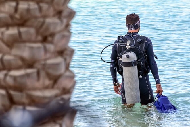 3-Day PADI Open Water Diving Course in Dubai - Timing that works for a short Dubai stay