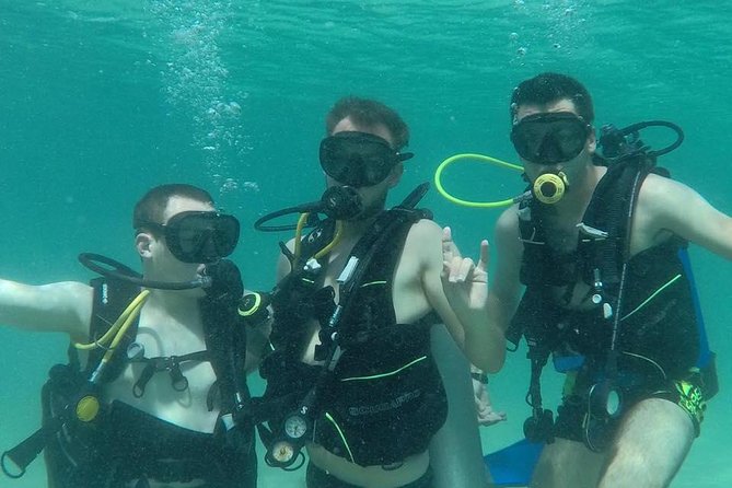 3-Day PADI Open Water Diving Course in Dubai - The online study deserves planning