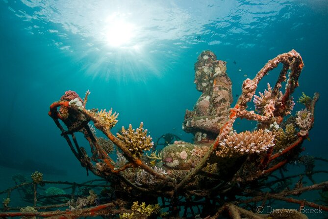 3 Days PADI Open Water Course in Pemuteran - Why Pemuteran works for a first certification