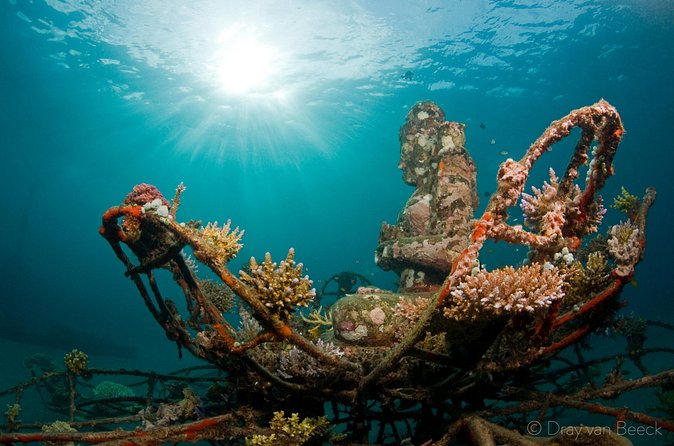 3 Days PADI Open Water Course in Pemuteran - Who should book this course