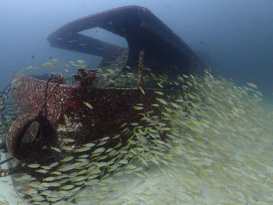 3 Fun Dives for Certified diver at Racha Yai/Noi - Key points at a glance