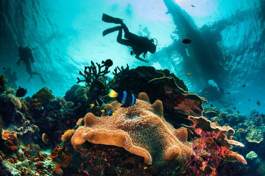 3 Fun Dives for Certified diver at Racha Yai/Noi - The midday break, lunch, and a chance to reset