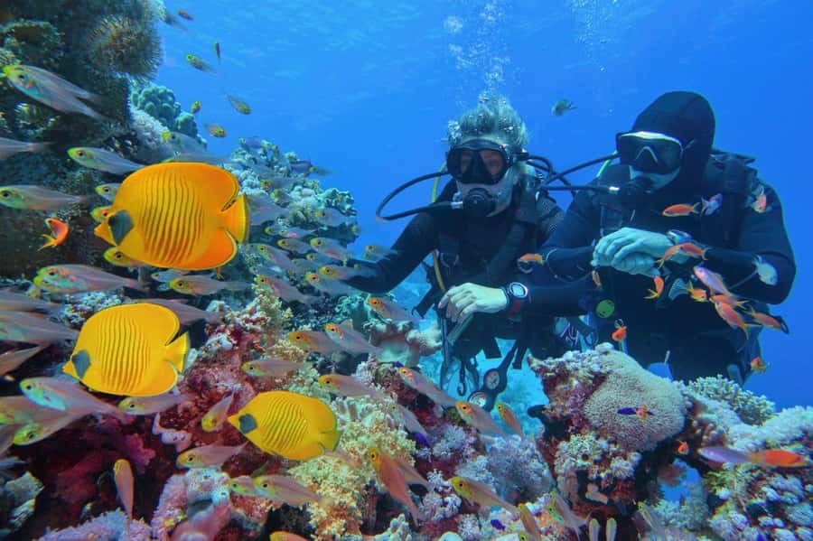 3 Fun Dives for Certified diver at Racha Yai/Noi - Second session: more time to watch the marine life
