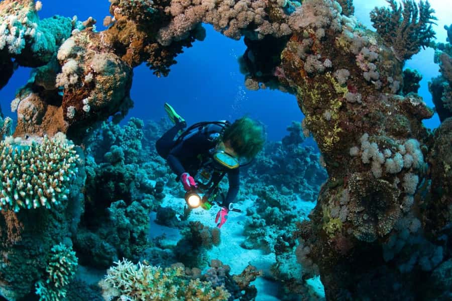 3 Fun Dives for Certified Diver Phi Phi islands &Shark Point - Food, comfort, and the value of the large boat