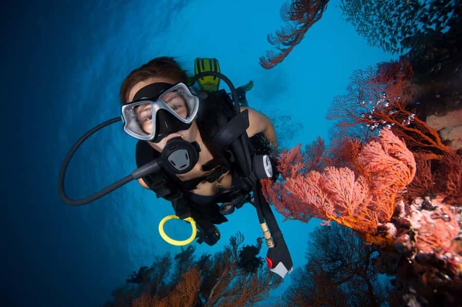 3 Fun Dives for Certified Diver Phi Phi islands &Shark Point - Who will enjoy this most?
