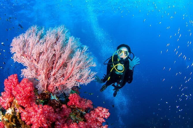 3 Fun dives in Phi Phi islands for Certified Divers - Meals and small comforts during a long day