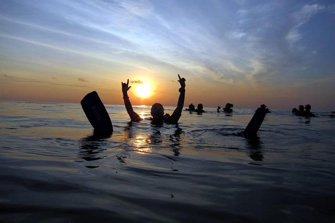 3 Fun dives in Phi Phi islands for Certified Divers - Health rules and certification requirements