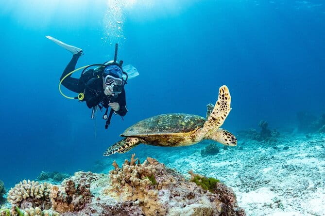 3 Fun dives in Phi Phi islands for Certified Divers - What the 15-person limit means on the boat