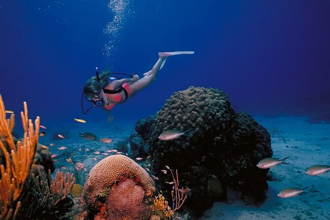 3 Fun Dives in Racha Yai and Racha Noi for Certified Divers - What makes Racha Yai and Racha Noi appealing