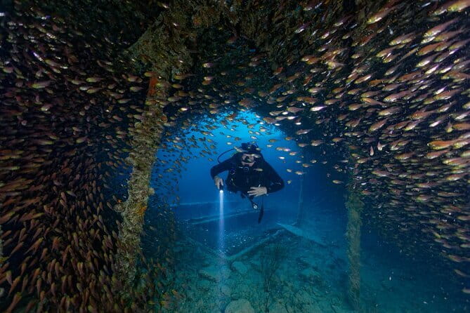 3 Fun Dives King Cruiser Wreck and Koh DokMai for Certified diver - Key points to know before booking