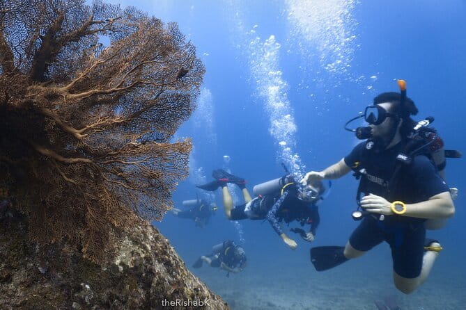 3 Fun Dives King Cruiser Wreck and Koh DokMai for Certified diver - A 7:00 AM start means a full day at sea