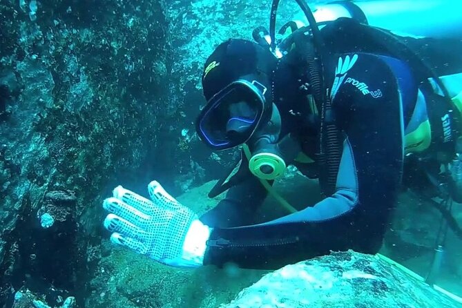 3 Hour Guided Scuba Diving in Trincomalee - Key points at a glance