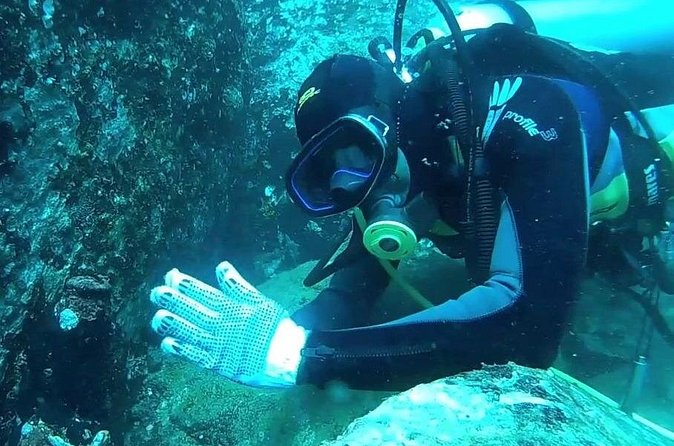 3 Hour Guided Scuba Diving in Trincomalee - Wrecks add a different kind of interest